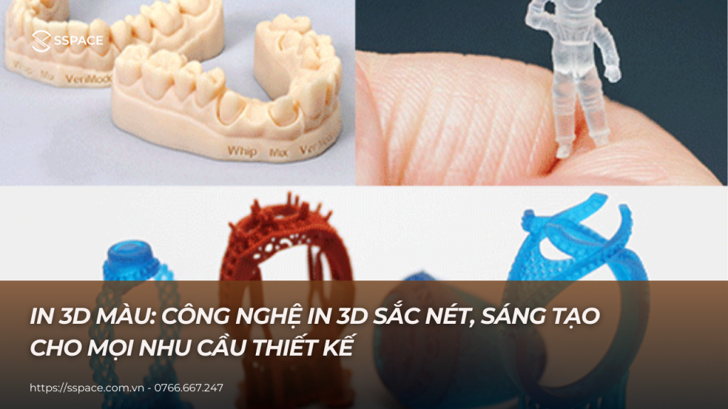 in 3d màu