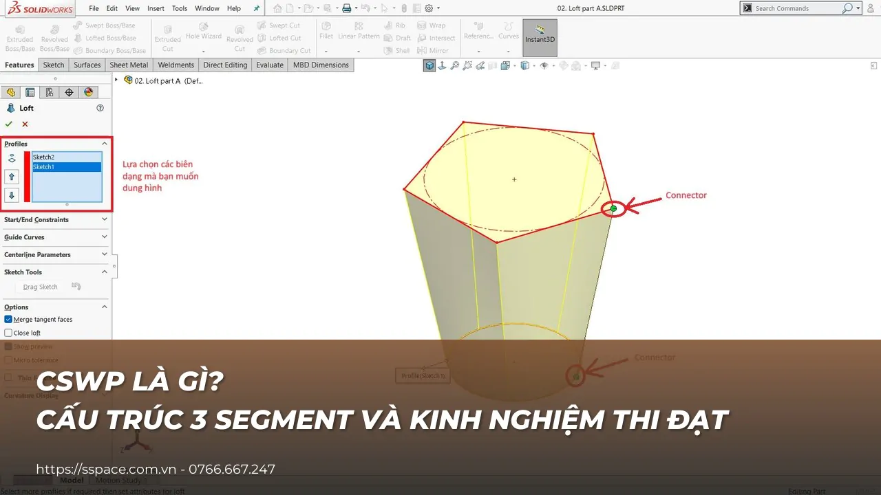 CSWP là gì? Cấu trúc 3 segment bài thi và kinh nghiệm thi đạt